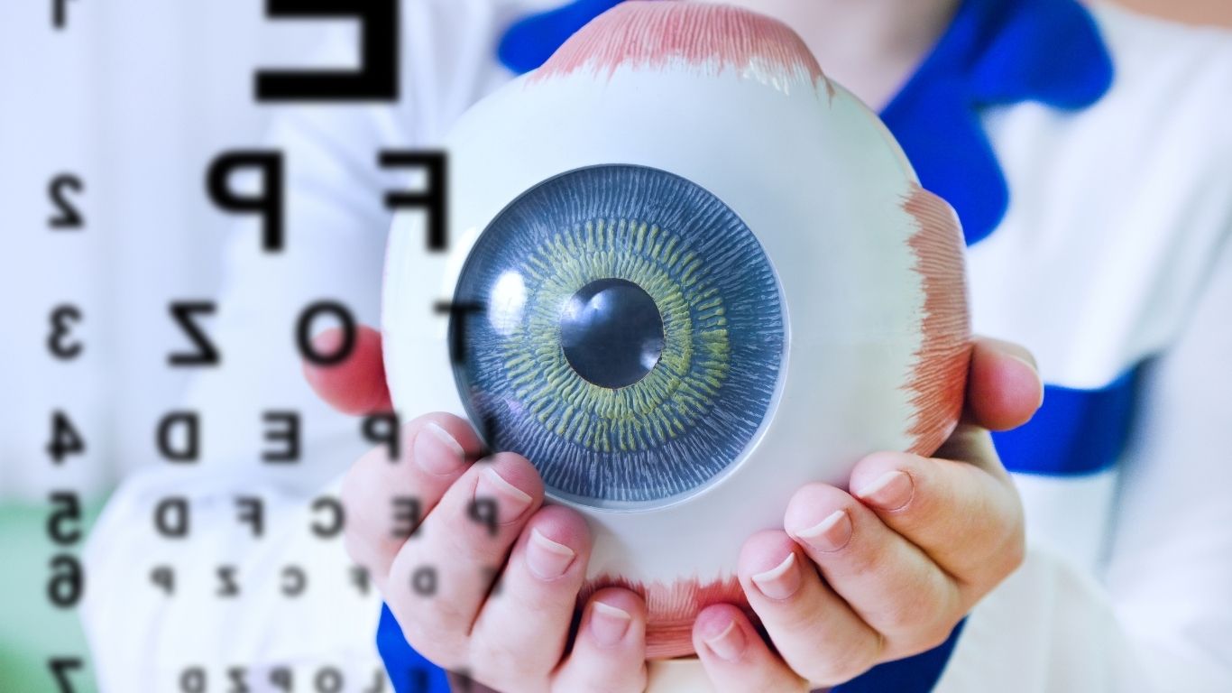 Hands holding an artificial eye
